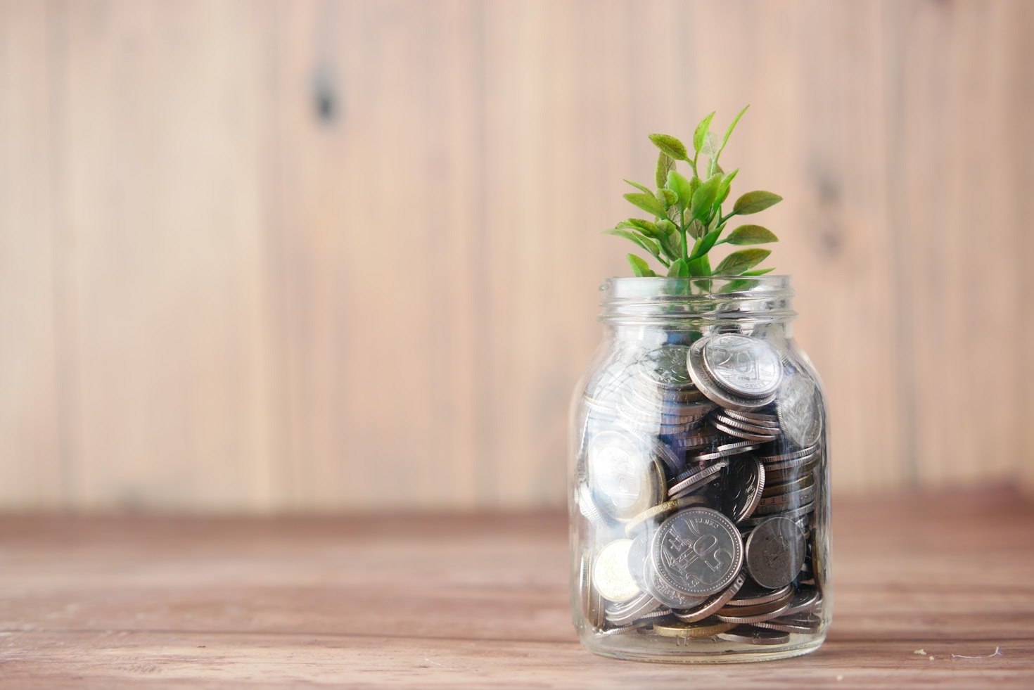 Hvad enhver nybegynder bør vide om investering